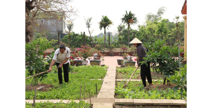 Tuyển người  làm vườn 