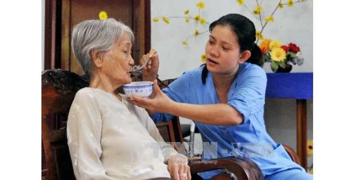 Gvn Nấu Ăn Phụ Chăm Người Già